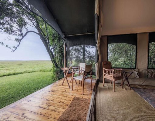 Elephant Pepper Camp gallery