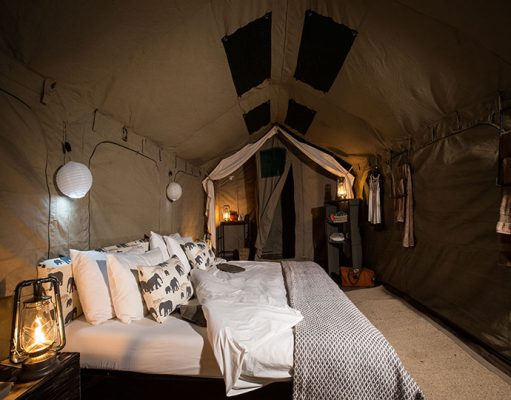 Mobile Safaris gallery
