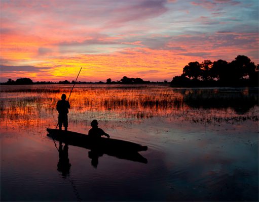 Mobile Safaris gallery