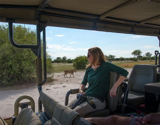 Mobile Safaris gallery