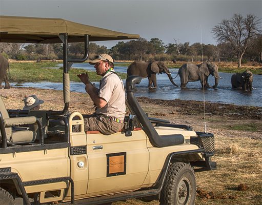 Mobile Safaris gallery