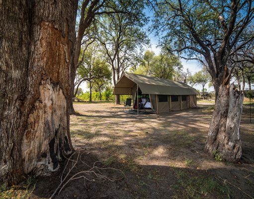 Mobile Safaris gallery