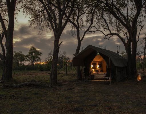 Mobile Safaris gallery