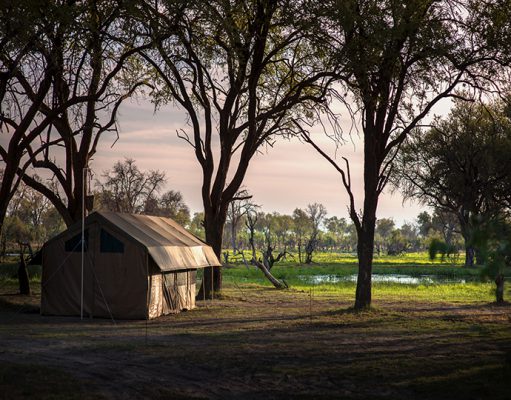Mobile Safaris gallery