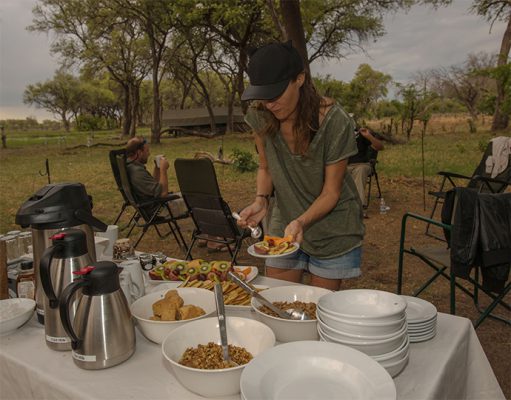 Mobile Safaris gallery