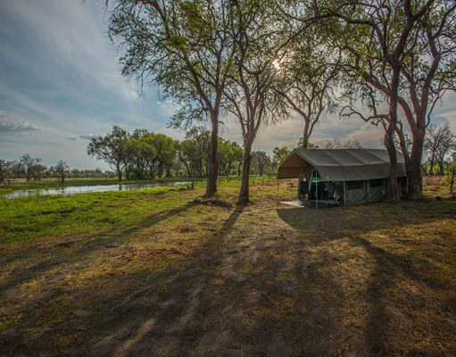 Mobile Safaris gallery