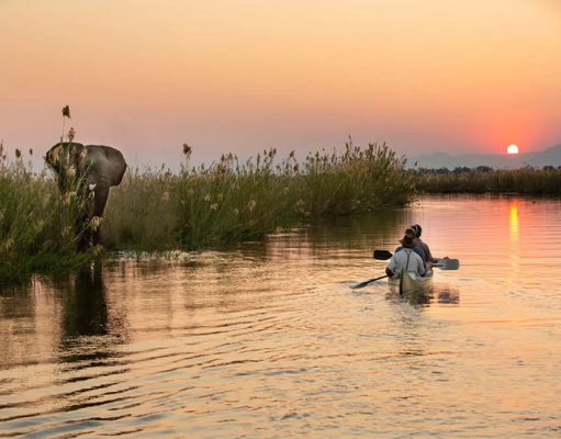Mana Pools National Park
