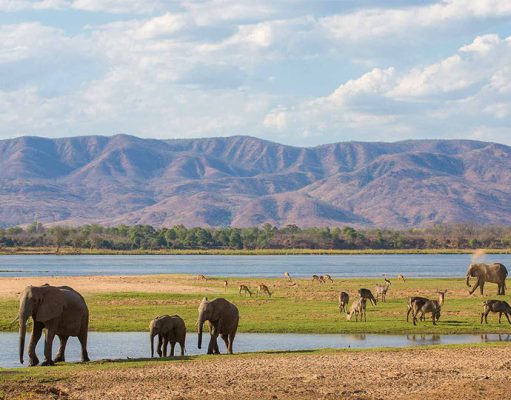 Mana Pools National Park
