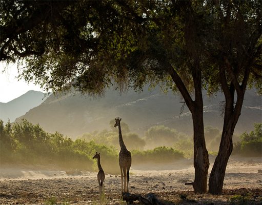 Hoanib Valley Safari Camp, Hoanib Camp, North West Namibia Luxury Holidays