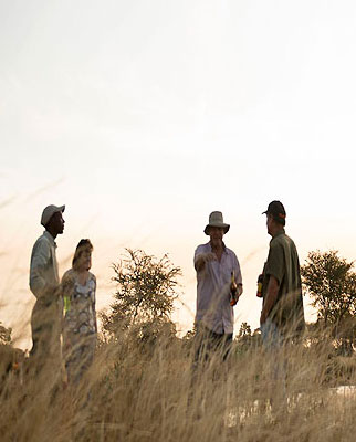 Why Katavi Safaris ROCK OUR WORLD