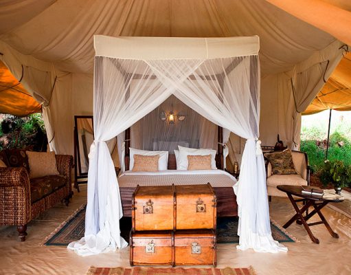 Luxury Kenya Safaris