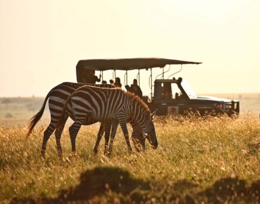 Tailor Made African Safaris – How To Book gallery