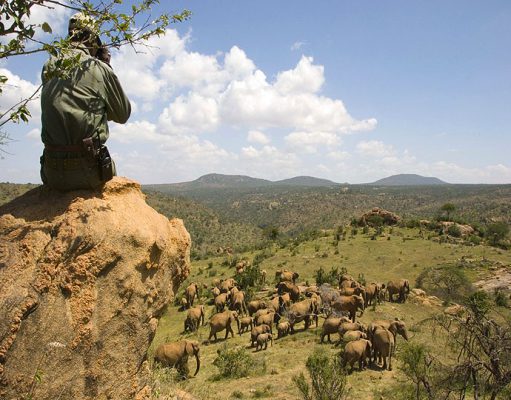 Luxury Laikipia Safaris in Kenya