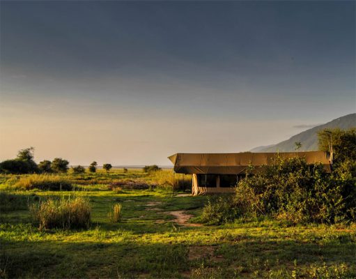 Lemala Manyara gallery