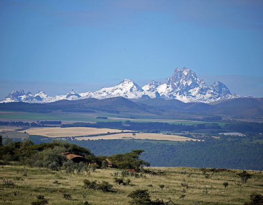 Lewa House gallery