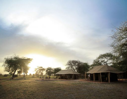 Private Safaris in Tanzania gallery