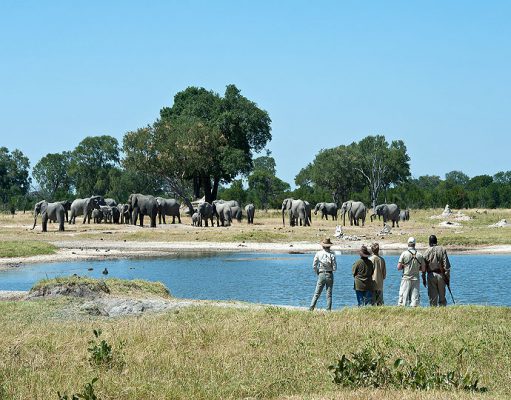 Victoria Falls & Wildlife Luxury Safari Mano Pools National Park Hwange National Park