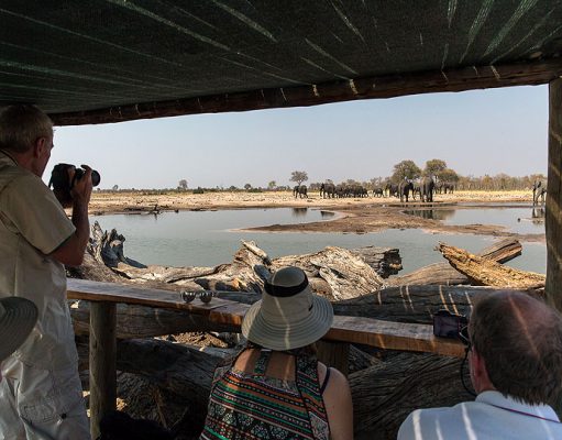 Little Makololo Luxury Safari Camp Africa