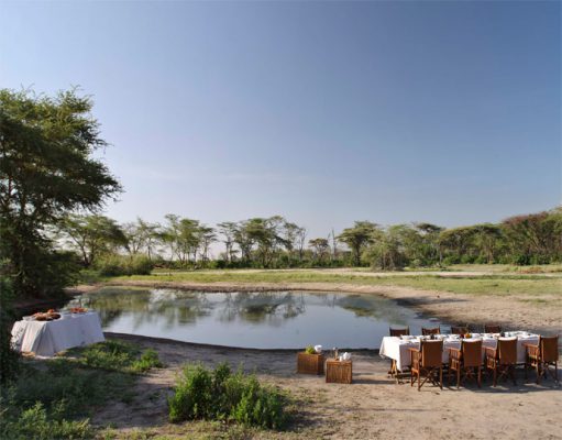 Manyara Tree Lodge gallery