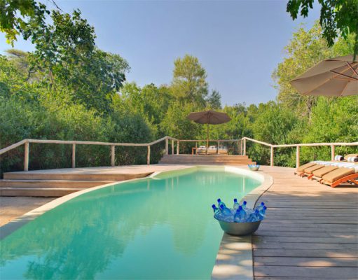 Manyara Tree Lodge gallery