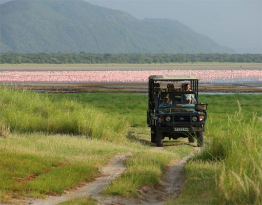 Manyara Tree Lodge gallery