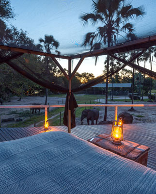 Top 10 Luxury Safaris for 2015