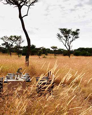 Top Bush Lunch Spots in Africa