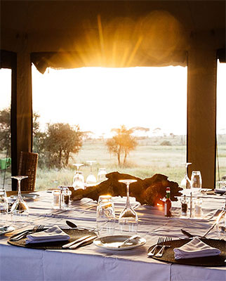 Take Your Luxury Tanzania Safari Tour for Less