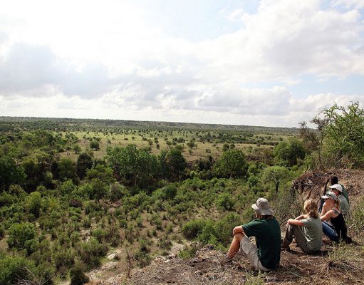 Lake Manyara gallery