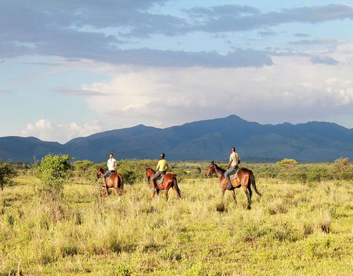 Lake Manyara gallery