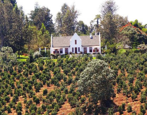 Ngorongoro Manor, Shangri-La Estate, adjacent to the Ngorongoro Conservation Area, Northern Tanzania Luxury Holiday