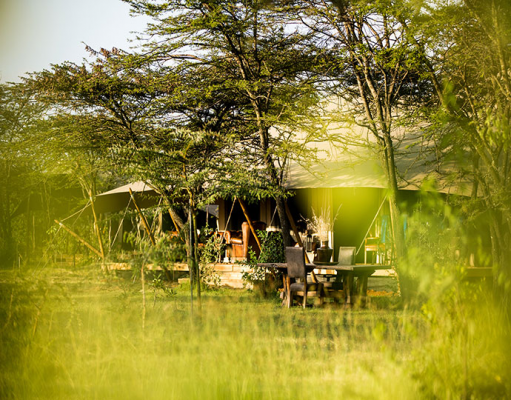 Mara Expeditions gallery