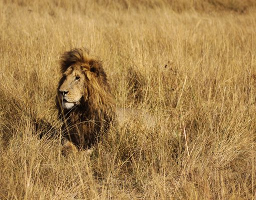 Mara Expeditions gallery