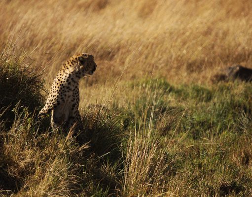 Mara Expeditions gallery