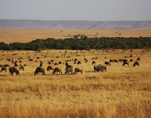 Mara Expeditions gallery