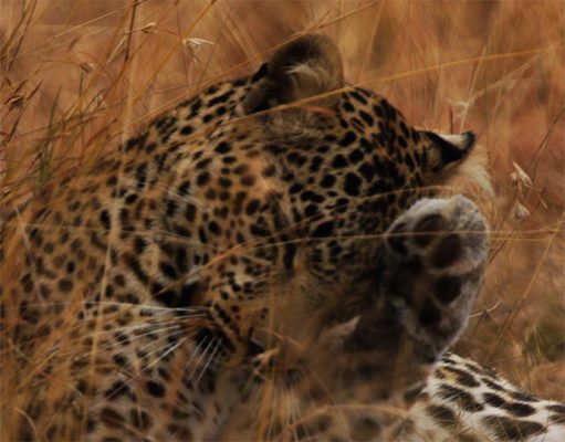 Mara Expeditions gallery
