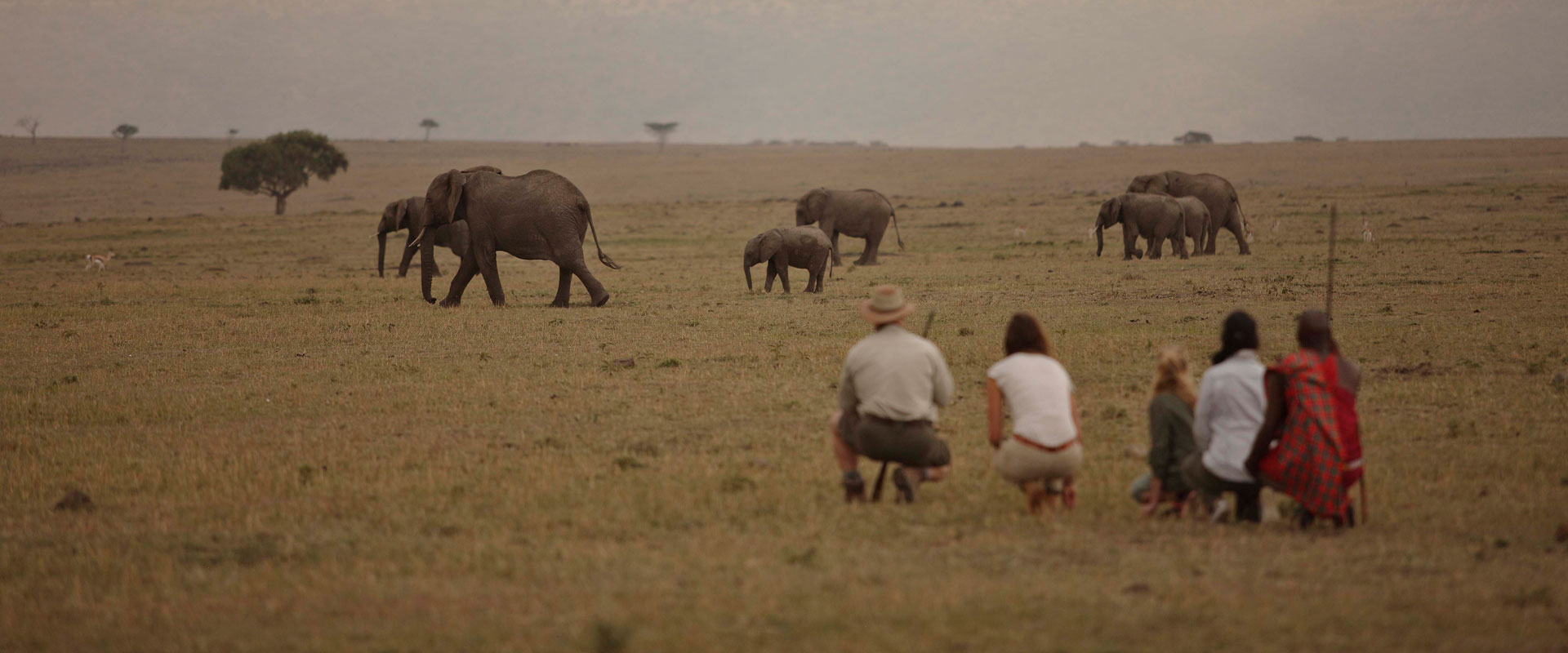 Kenya Safari Itineraries
