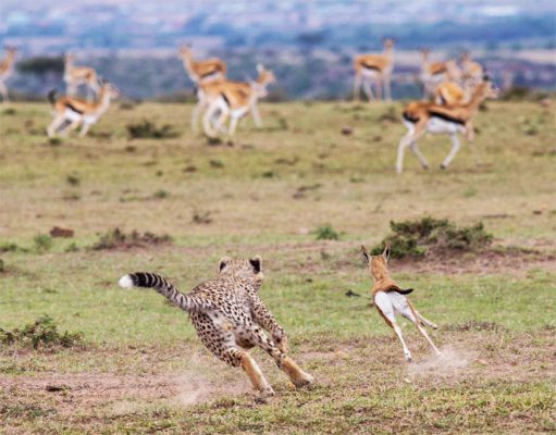 Best Photographic Spots in Africa gallery