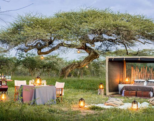 Mwiba Lodge gallery