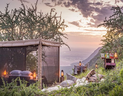 Mwiba Lodge gallery