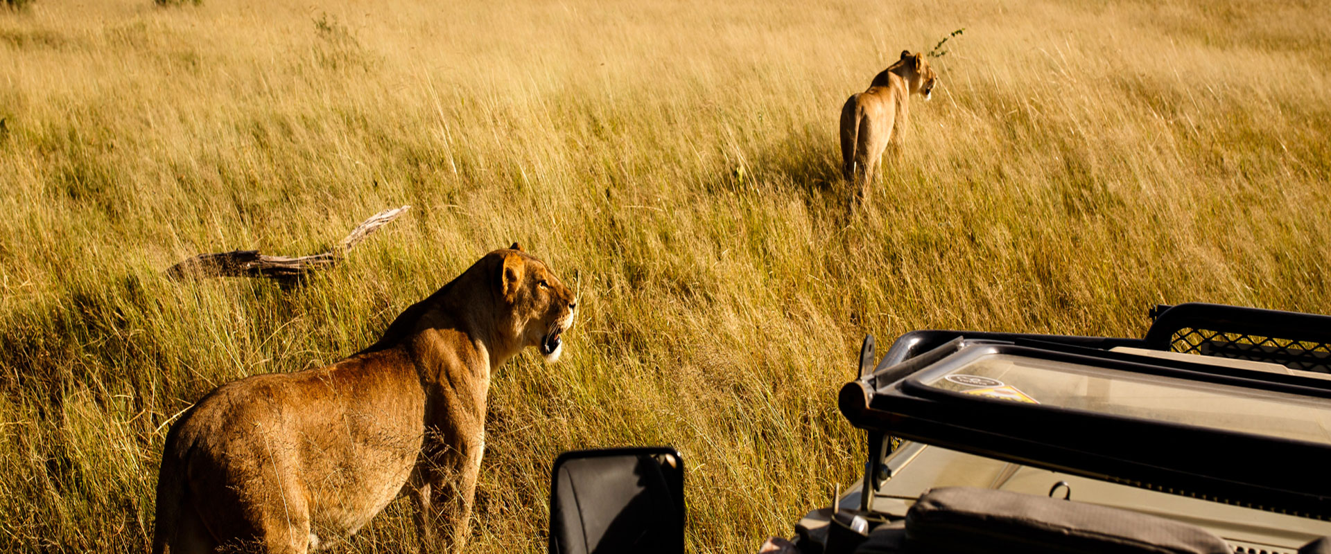 Botswana Mobile Safaris
