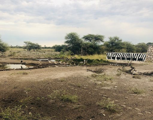 Onguma Tented Camp gallery