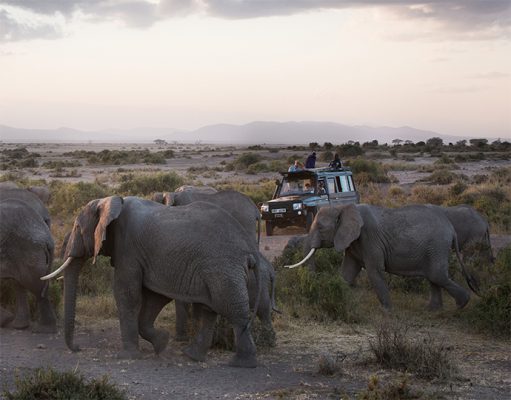 We specialise in organising extraordinary safaris – we truly and passionately believe that this can only be done with a Pro Guide on board.