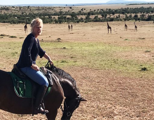 Riding Safaris gallery