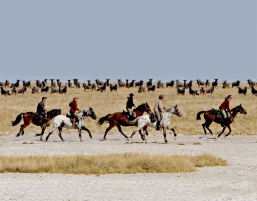 Tanzania on Horseback gallery