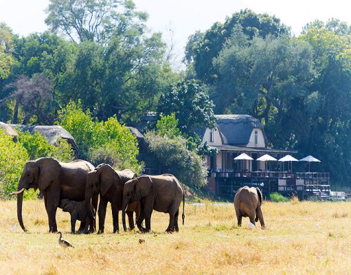 Top 3 Luxury Spa Safaris gallery