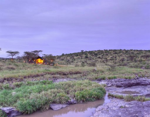 Top 5 Luxury Tented Camps gallery