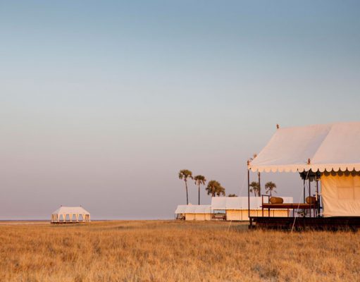 Best Botswana Luxury Safari Lodges gallery