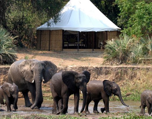 Top 5 Zambia Must Visits 2016 gallery