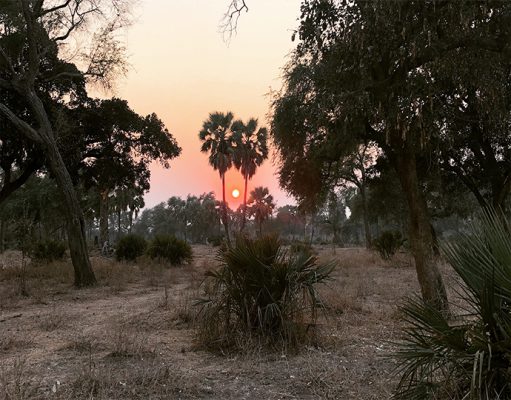 Sausage Tree Camp gallery